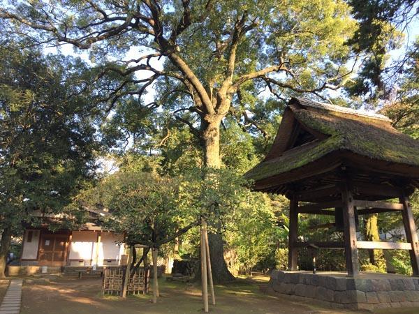 Masutomi Ryokan Χακόνε Εξωτερικό φωτογραφία